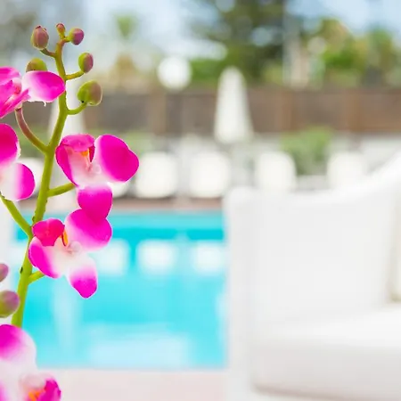 Apartment Sunny Village Playa del Ingles (Gran Canaria)